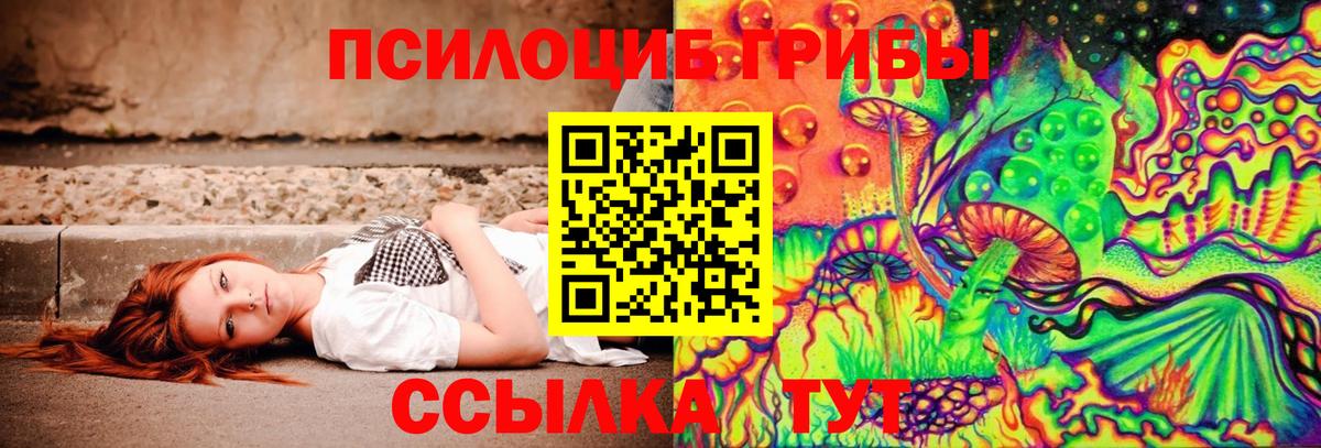 Галлюциногенные грибы GOLDEN TEACHER Гусиноозёрск
