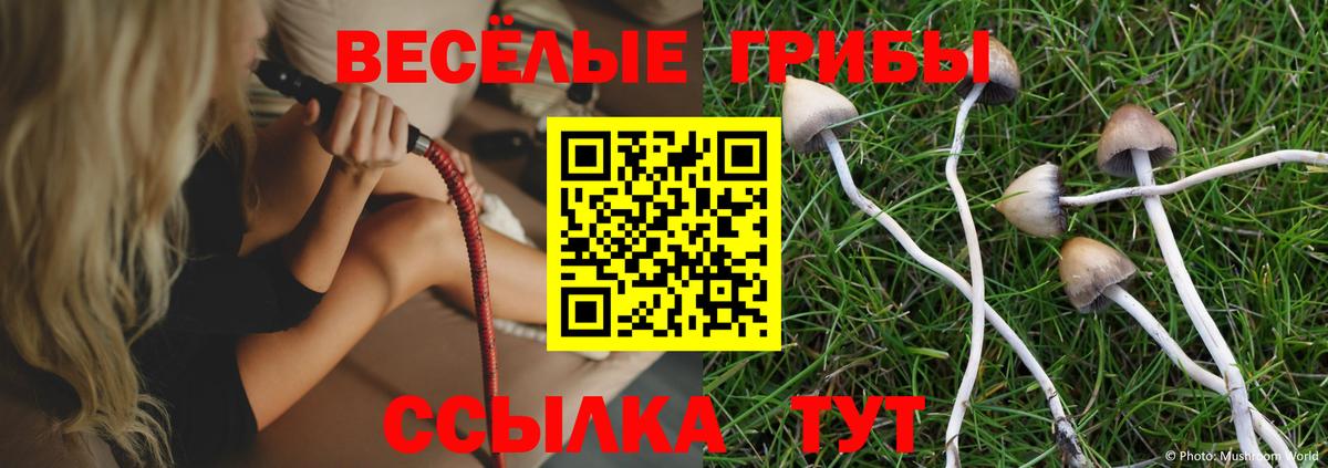 Галлюциногенные грибы GOLDEN TEACHER  Вход с VPN  Гусиноозёрск 